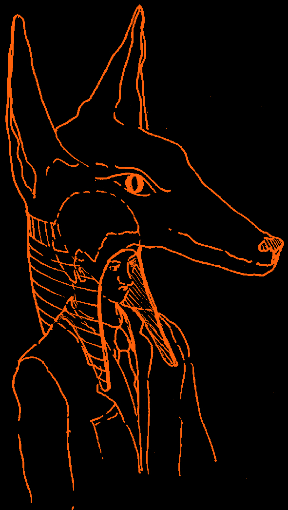 Storyboards — photo 13